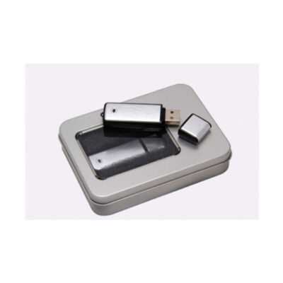 Pen Drive Metalico 2 GB